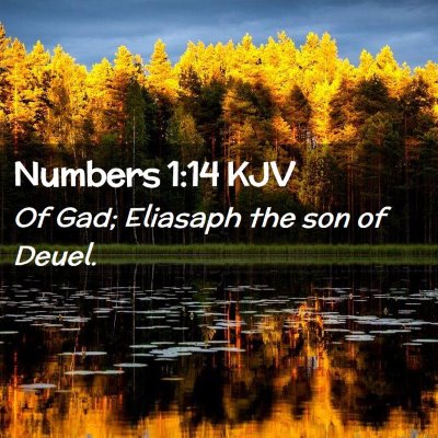 Picture 02 - Numbers 1:14 KJV - Of Gad; Eliasaph the son of - Bible Verse Picture