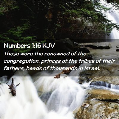 Picture 02 - Numbers 1:16 KJV - These were the renowned of the congregation, - Bible Verse Picture