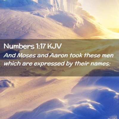 Picture 02 - Numbers 1:17 KJV - And Moses and Aaron took these men which are - Bible Verse Picture