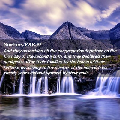 Picture 02 - Numbers 1:18 KJV - And they assembled all the congregation together - Bible Verse Picture