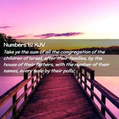 Picture 02 - Numbers 1:2 KJV - Take ye the sum of all the congregation of the - Bible Verse Picture