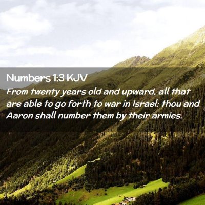 Picture 02 - Numbers 1:3 KJV - From twenty years old and upward, all that are - Bible Verse Picture