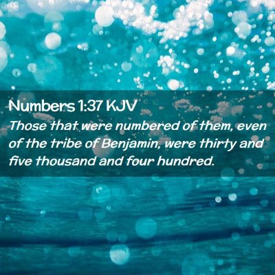 Picture 02 - Numbers 1:37 KJV - Those that were numbered of them, even of the - Bible Verse Picture