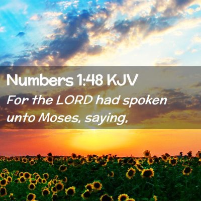 Picture 02 - Numbers 1:48 KJV - For the LORD had spoken unto Moses, - Bible Verse Picture
