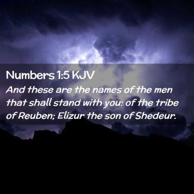 Picture 02 - Numbers 1:5 KJV - And these are the names of the men that shall - Bible Verse Picture