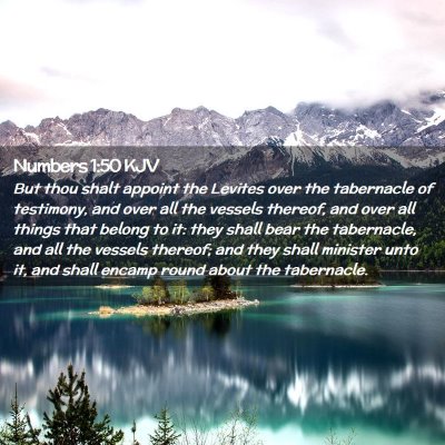 Picture 02 - Numbers 1:50 KJV - But thou shalt appoint the Levites over the - Bible Verse Picture