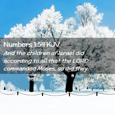 Picture 02 - Numbers 1:54 KJV - And the children of Israel did according to all - Bible Verse Picture