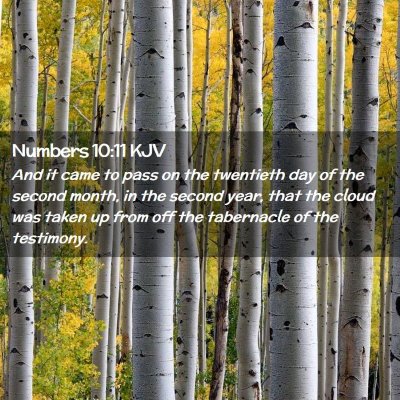 Picture 02 - Numbers 10:11 KJV - And it came to pass on the twentieth day of the - Bible Verse Picture