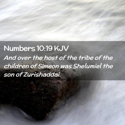Picture 02 - Numbers 10:19 KJV - And over the host of the tribe of the children of - Bible Verse Picture