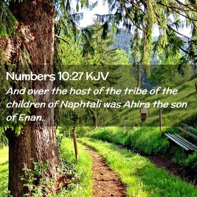Picture 02 - Numbers 10:27 KJV - And over the host of the tribe of the children of - Bible Verse Picture