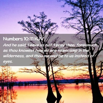 Picture 02 - Numbers 10:31 KJV - And he said, Leave us not, I pray thee; forasmuch - Bible Verse Picture