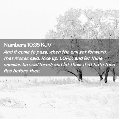 Picture 02 - Numbers 10:35 KJV - And it came to pass, when the ark set forward, - Bible Verse Picture