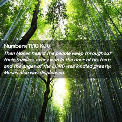 Picture 02 - Numbers 11:10 KJV - Then Moses heard the people weep throughout their - Bible Verse Picture