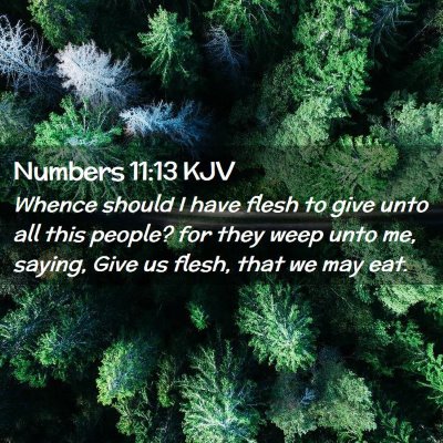 Picture 02 - Numbers 11:13 KJV - Whence should I have flesh to give unto all this - Bible Verse Picture