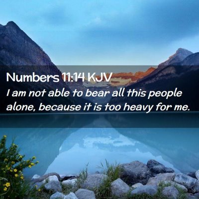 Picture 02 - Numbers 11:14 KJV - I am not able to bear all this people alone, - Bible Verse Picture