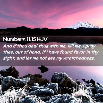 Picture 02 - Numbers 11:15 KJV - And if thou deal thus with me, kill me, I pray - Bible Verse Picture