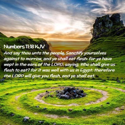 Picture 02 - Numbers 11:18 KJV - And say thou unto the people, Sanctify yourselves - Bible Verse Picture