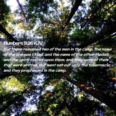 Picture 02 - Numbers 11:26 KJV - But there remained two of the men in the camp, - Bible Verse Picture