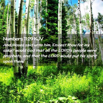 Picture 02 - Numbers 11:29 KJV - And Moses said unto him, Enviest thou for my - Bible Verse Picture