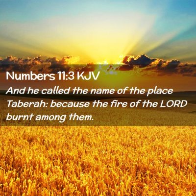 Picture 02 - Numbers 11:3 KJV - And he called the name of the place Taberah: - Bible Verse Picture