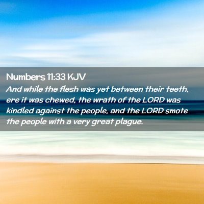 Picture 02 - Numbers 11:33 KJV - And while the flesh was yet between their teeth, - Bible Verse Picture