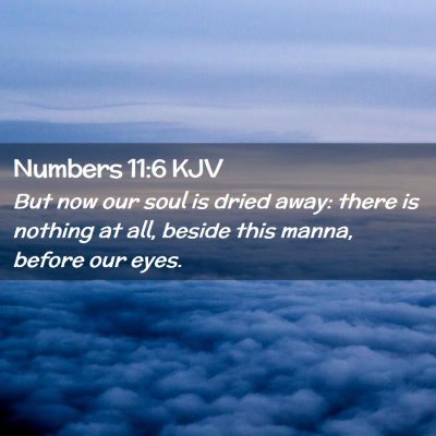 Picture 02 - Numbers 11:6 KJV - But now our soul is dried away: there is nothing - Bible Verse Picture