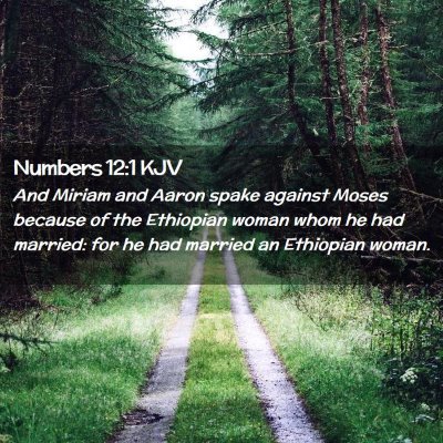 Picture 02 - Numbers 12:1 KJV - And Miriam and Aaron spake against Moses because - Bible Verse Picture