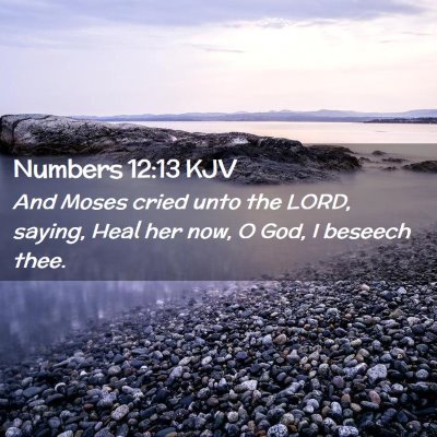Picture 02 - Numbers 12:13 KJV - And Moses cried unto the LORD, saying, Heal her - Bible Verse Picture