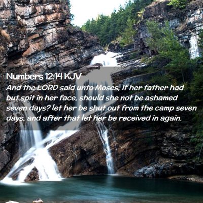 Picture 02 - Numbers 12:14 KJV - And the LORD said unto Moses, If her father had - Bible Verse Picture