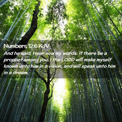 Picture 02 - Numbers 12:6 KJV - And he said, Hear now my words: If there be a - Bible Verse Picture