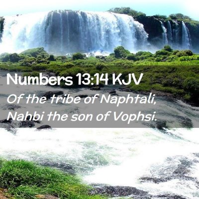 Picture 02 - Numbers 13:14 KJV - Of the tribe of Naphtali, Nahbi the son of - Bible Verse Picture