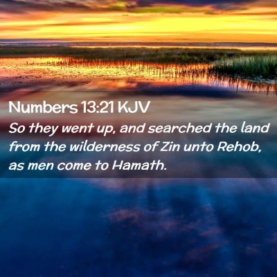 Picture 02 - Numbers 13:21 KJV - So they went up, and searched the land from the - Bible Verse Picture