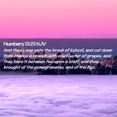 Picture 02 - Numbers 13:23 KJV - And they came unto the brook of Eshcol, and cut - Bible Verse Picture