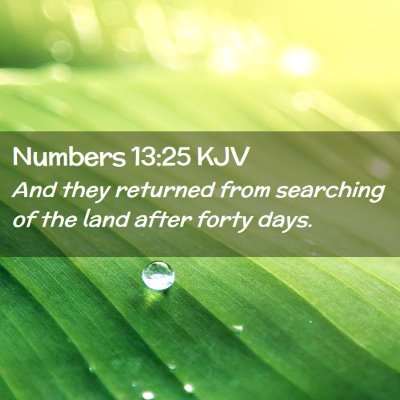 Picture 02 - Numbers 13:25 KJV - And they returned from searching of the land - Bible Verse Picture