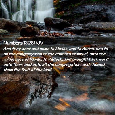 Picture 02 - Numbers 13:26 KJV - And they went and came to Moses, and to Aaron, - Bible Verse Picture
