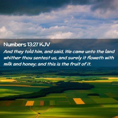 Picture 02 - Numbers 13:27 KJV - And they told him, and said, We came unto the - Bible Verse Picture