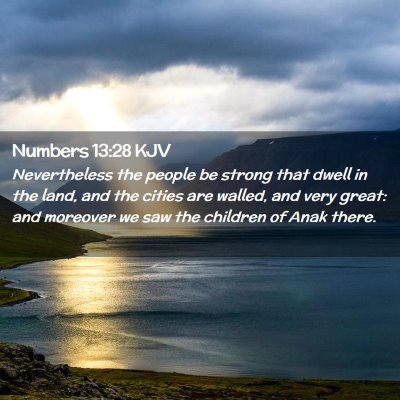 Picture 02 - Numbers 13:28 KJV - Nevertheless the people be strong that dwell in - Bible Verse Picture
