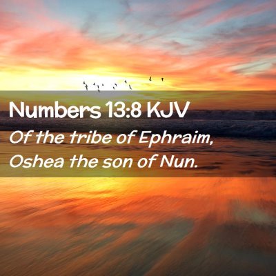 Picture 02 - Numbers 13:8 KJV - Of the tribe of Ephraim, Oshea the son of - Bible Verse Picture