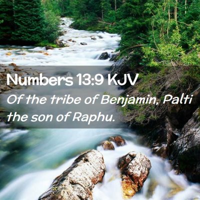 Picture 02 - Numbers 13:9 KJV - Of the tribe of Benjamin, Palti the son of - Bible Verse Picture
