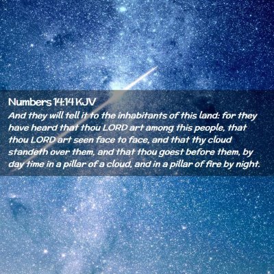 Picture 02 - Numbers 14:14 KJV - And they will tell it to the inhabitants of this - Bible Verse Picture