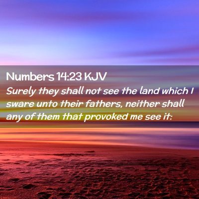 Picture 02 - Numbers 14:23 KJV - Surely they shall not see the land which I sware - Bible Verse Picture