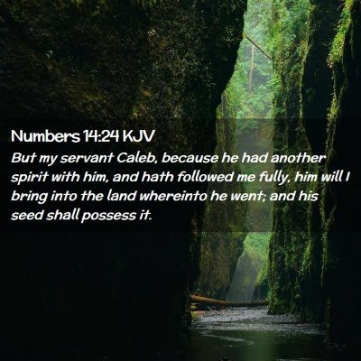 Picture 02 - Numbers 14:24 KJV - But my servant Caleb, because he had another - Bible Verse Picture
