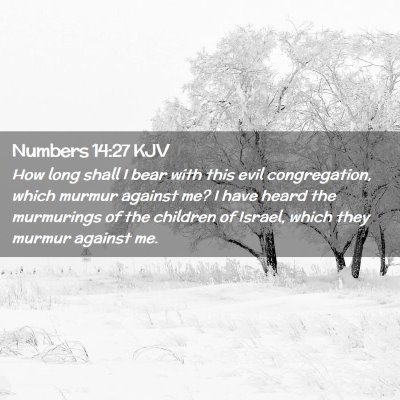 Picture 02 - Numbers 14:27 KJV - How long shall I bear with this evil - Bible Verse Picture