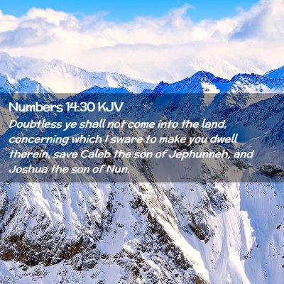 Picture 02 - Numbers 14:30 KJV - Doubtless ye shall not come into the land, - Bible Verse Picture