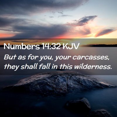 Picture 02 - Numbers 14:32 KJV - But as for you, your carcasses, they shall fall - Bible Verse Picture