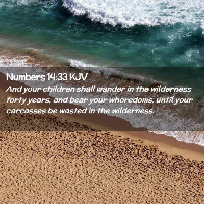 Picture 02 - Numbers 14:33 KJV - And your children shall wander in the wilderness - Bible Verse Picture