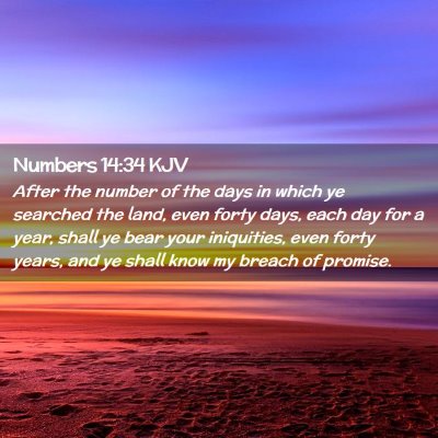 Picture 02 - Numbers 14:34 KJV - After the number of the days in which ye searched - Bible Verse Picture