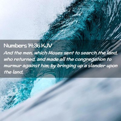 Picture 02 - Numbers 14:36 KJV - And the men, which Moses sent to search the land, - Bible Verse Picture