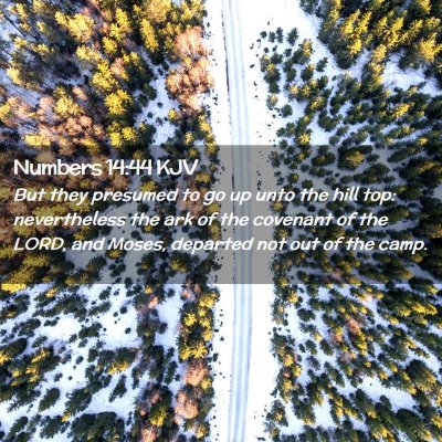Picture 02 - Numbers 14:44 KJV - But they presumed to go up unto the hill top: - Bible Verse Picture