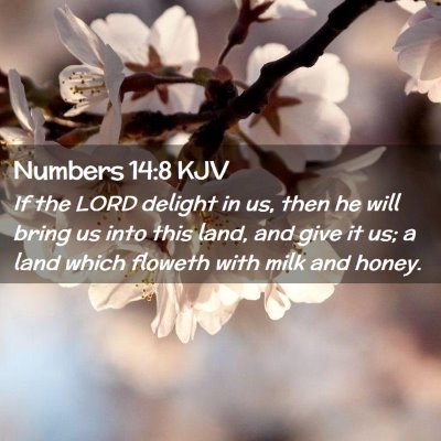 Picture 02 - Numbers 14:8 KJV - If the LORD delight in us, then he will bring us - Bible Verse Picture